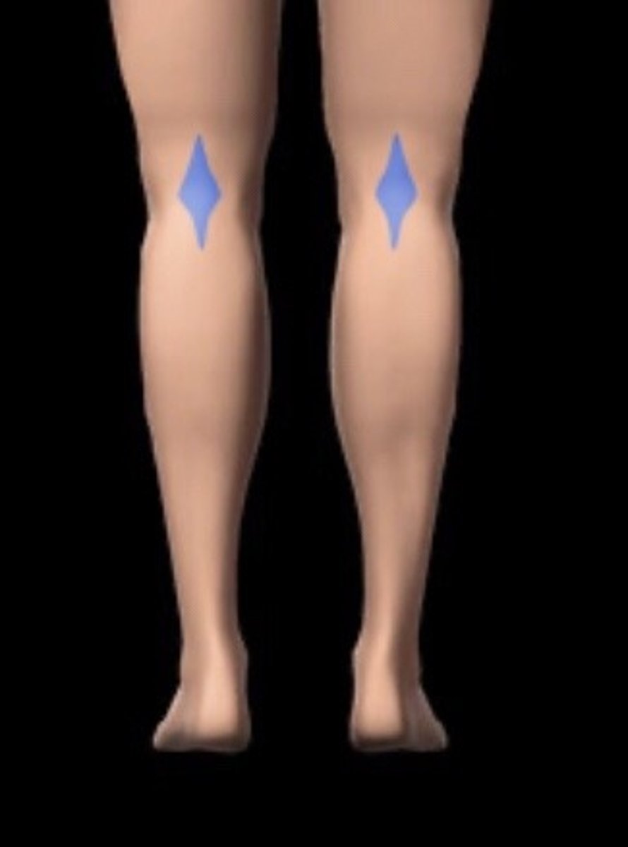 <p>the hollow at the back of the knee</p>