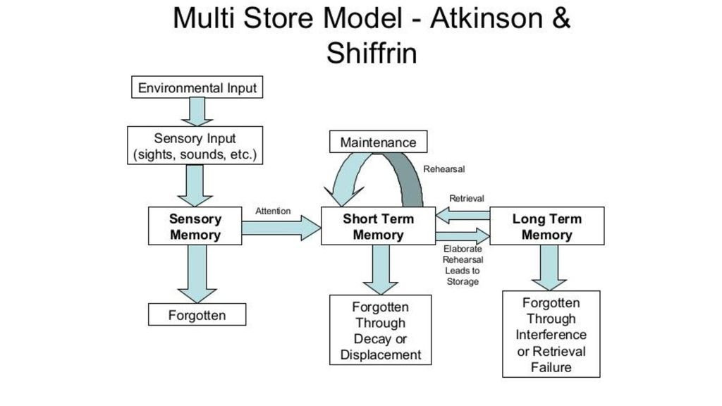 <p>MSM - HM case study</p>