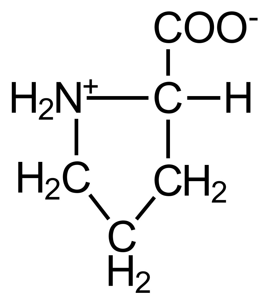 <p>C. Hydroxylation of proline side chains</p>