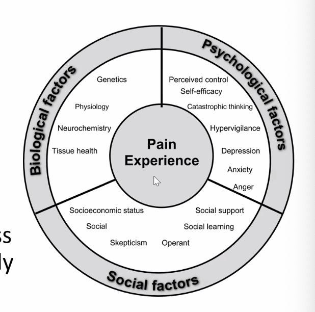 <ul><li><p>Multidimensional, dynamic interaction among physiological, psychological, and social factors that reciprocally influence each other, resulting in chronic and complex pain syndromes</p></li><li><p>Sensory and affective experience</p></li></ul><p></p>