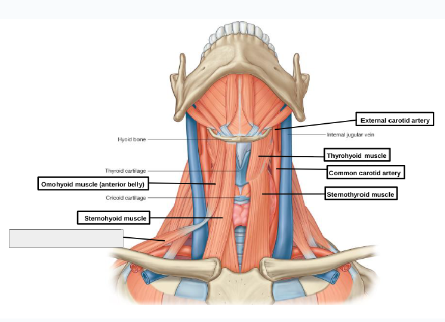 <p>what structure is that?</p>