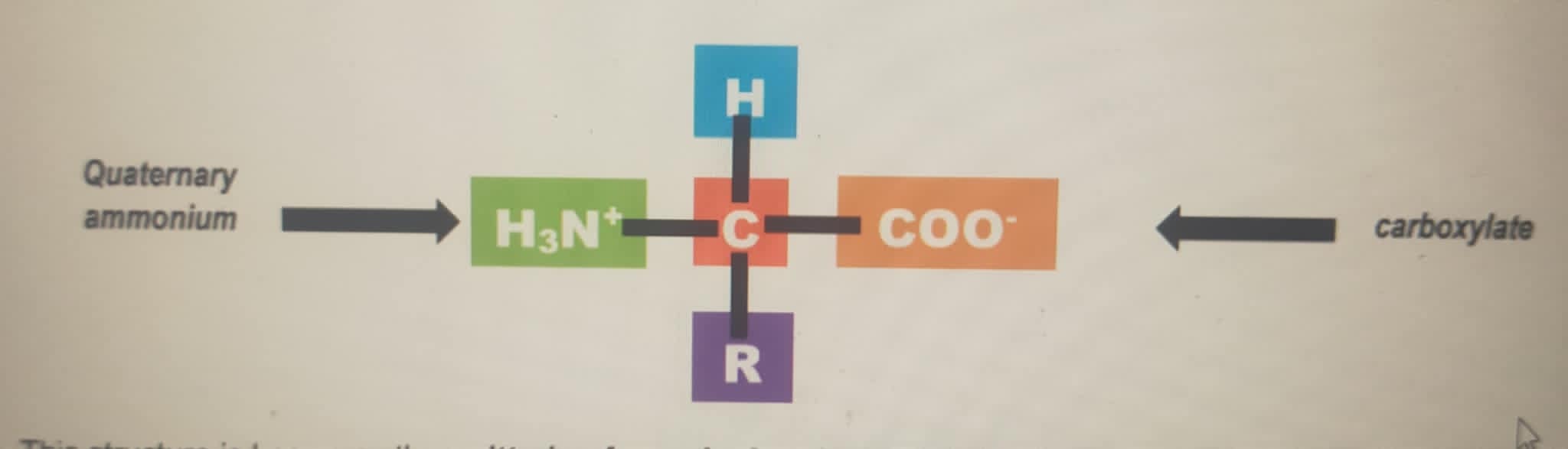 <p>This structure is known as the (___________) of a Standard Amino Acid. A (______________) ion is a</p><p><em>molecule having </em>a p<strong>ositive charge on one side and negative charge </strong>on the other. Take note that while a</p><p></p><p> has charged groups it is neutral molecule because the number of groups with positive charge</p><p>is equal to the number of groups with negative charge resulting to <strong>zero net charge</strong>. In <strong>solid state</strong>, the</p><p>standard amino acids exist as (___________).</p>