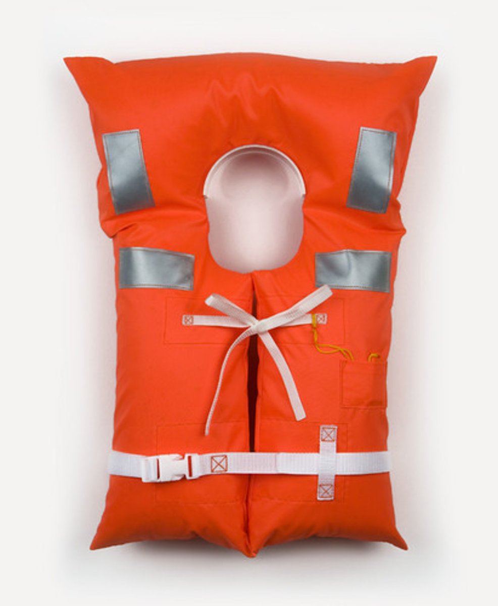 <p>lifeguard</p>