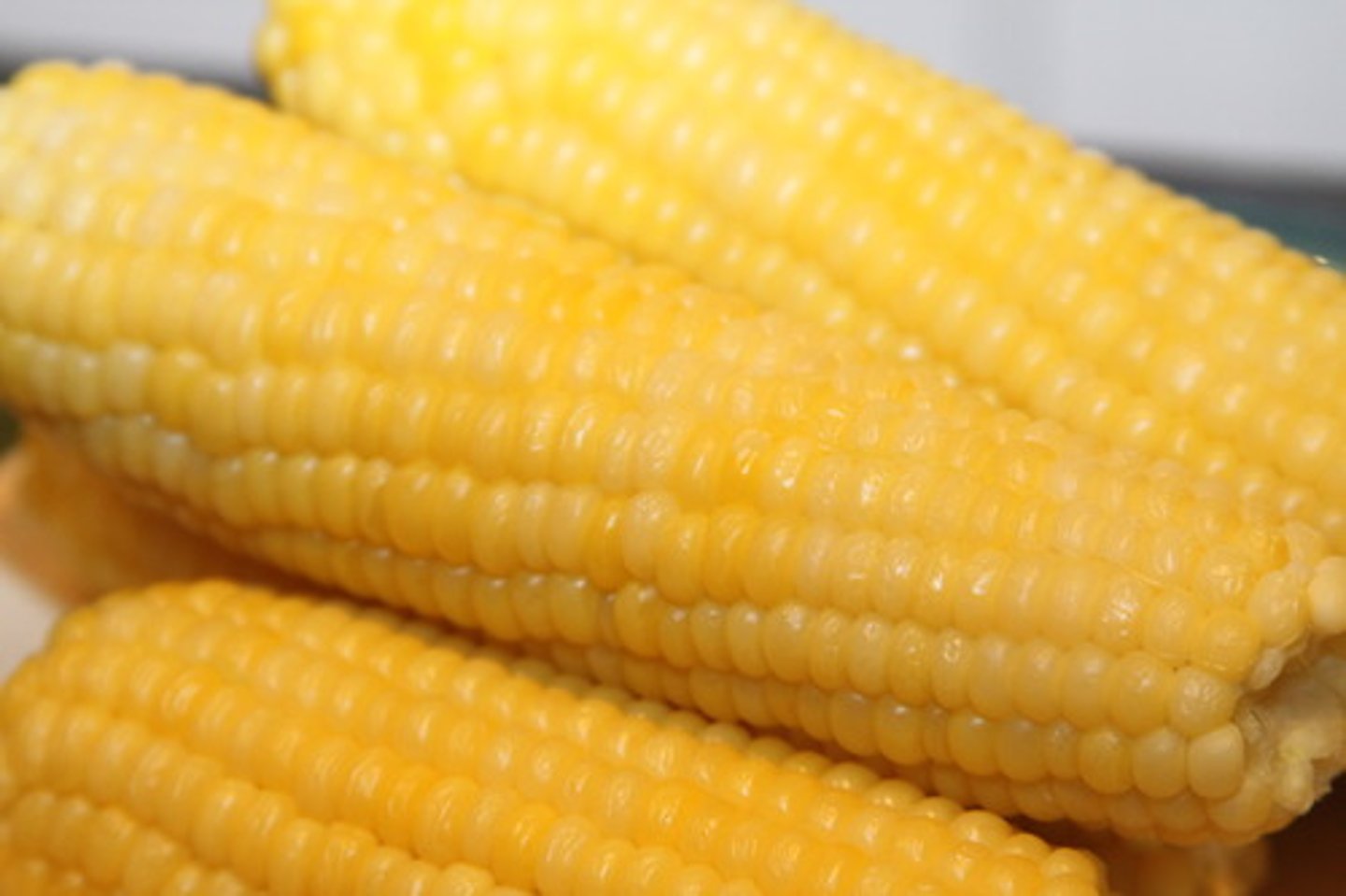 <p>corn</p>