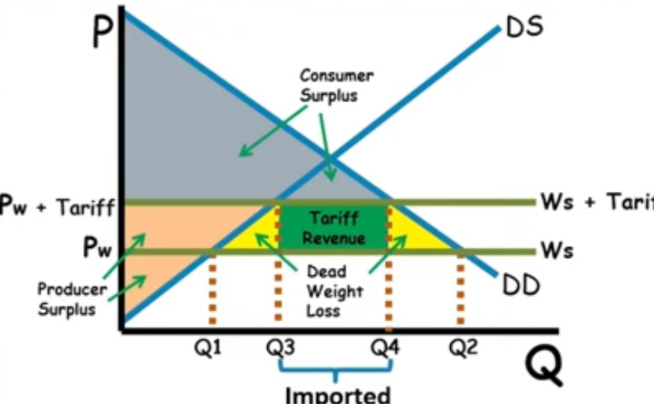 <p>includes both PW and PW + tariff in order to find</p><p>Multiply (Pw + tariff - Pe) with new tariff (Qd - Qs)</p>