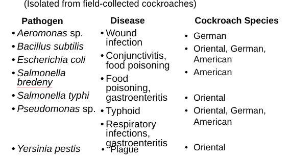 <ul><li><p><span style="background-color: transparent;"><span>Capable of transmitting microorganisms such as bacteria</span></span></p><ul><li><p><span style="background-color: transparent;"><span>Contaminate food and/or food preparation surfaces</span></span></p></li></ul></li></ul><p></p>