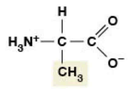 <p>Nonpolar (Hydrophobic)</p>