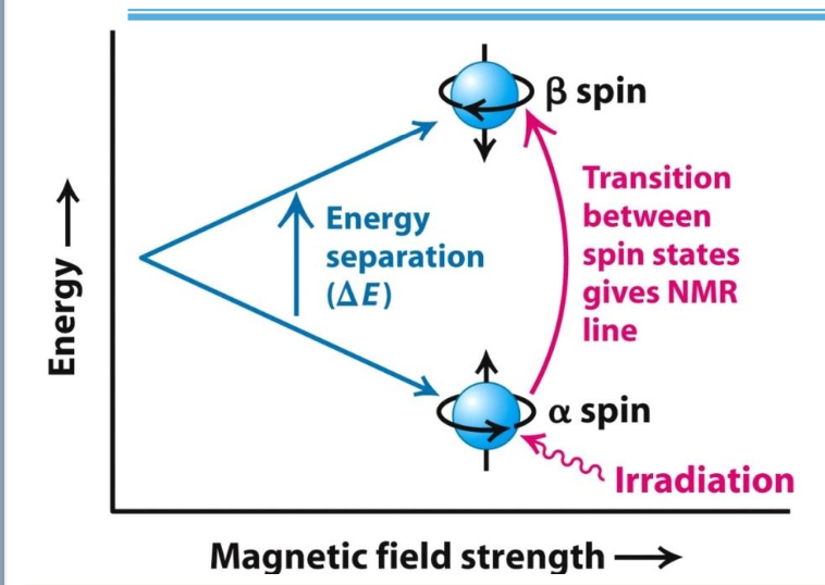 <p>✧ Some atomic nuclei (e.g. ¹H) are naturally magnetic w/ 2 spin states: <strong>α</strong> (aligned with the magnetic field) and <strong>β</strong> (not aligned).</p><p>✧ <strong>Resonance</strong>: α → β transition when nuclei exposed to EM radiation of the right frequency</p><p>✧ ∆frequency between spin states depends on the environment of each nucleus, leading to <strong>chemical shifts</strong> (measured in <strong>ppm</strong>).</p><p>✧ Shifts vary based on protein structure.</p>