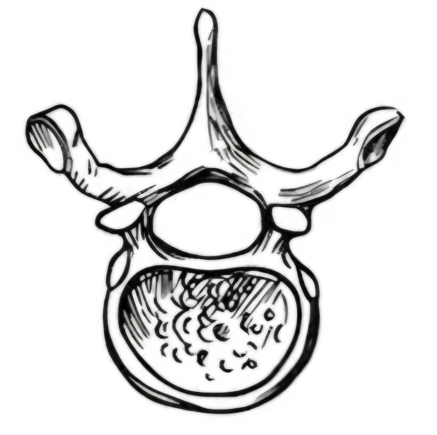 <p>Jaký je tohle obratel?</p>