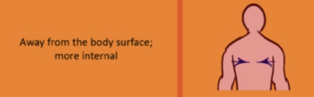 <p>refers to a position that is further away from the body surface, typically indicating a layer beneath superficial structures. </p>