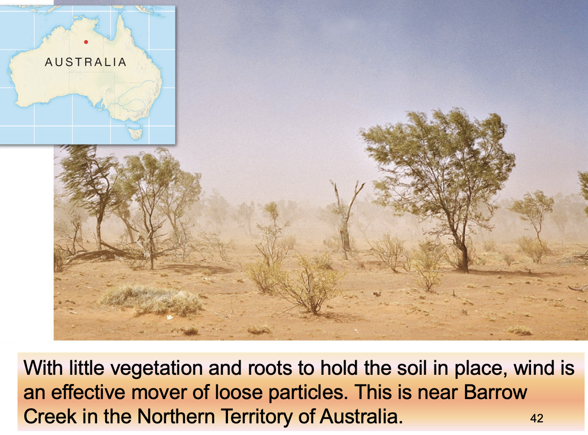 <p>In what type of areas is wind more effective?</p>