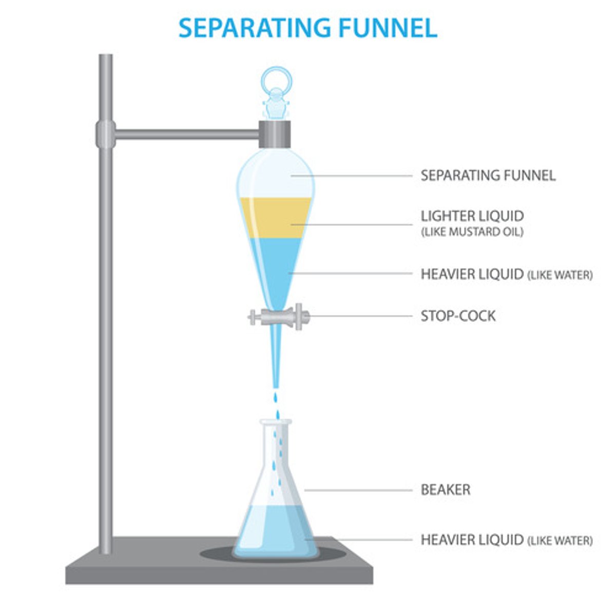 <p>The mixture is placed inside the separating funnel and left to settle. The less dense liquid will form a layer above the more dense layer below. The stopcock can be used to remove the more dense bottom layer.</p>