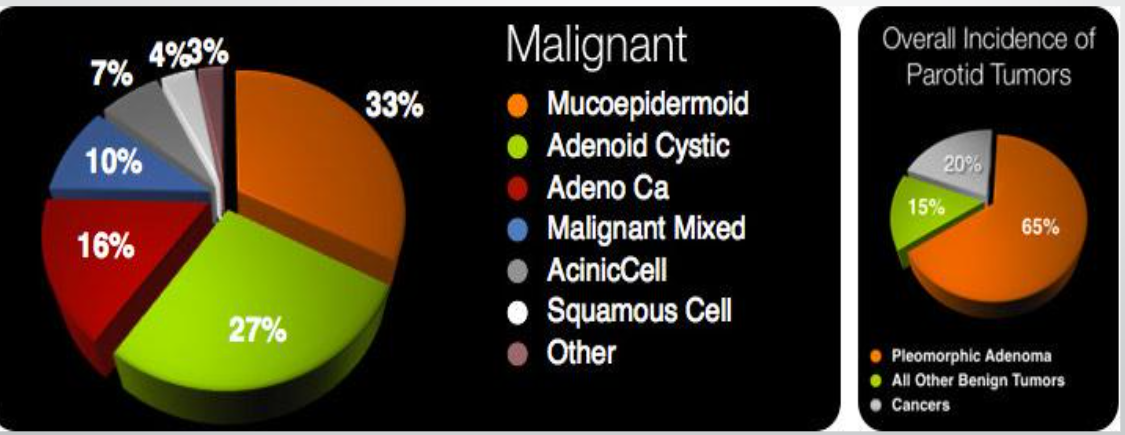 <p>adenocarcinomas, hemangiomas, lipoma, sarcomas, lymphomas</p>