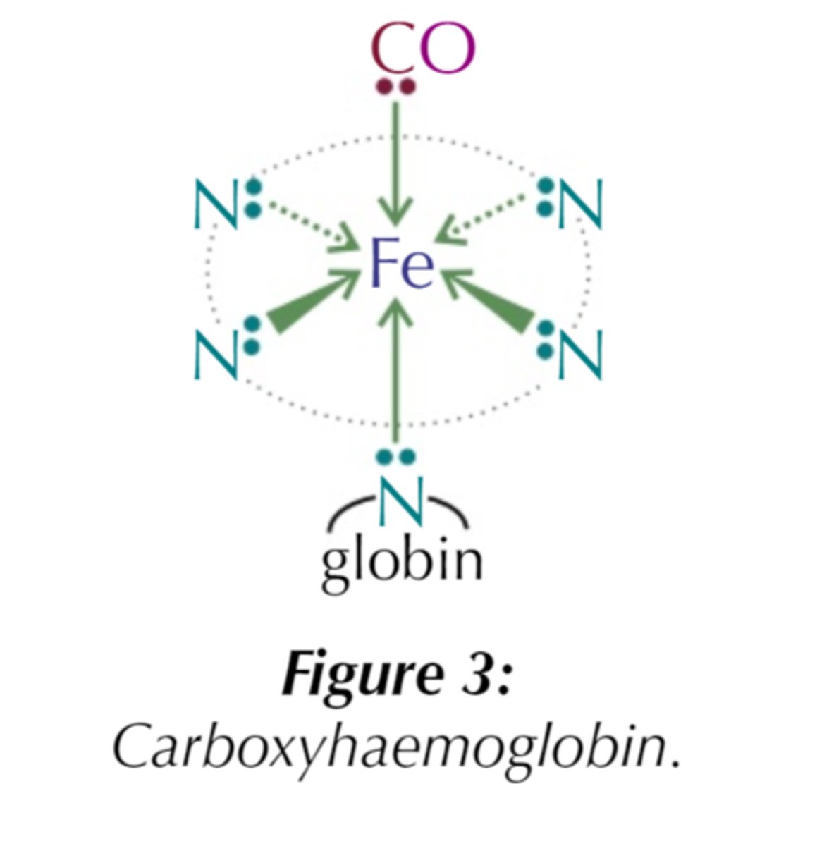 <p>- CO is a better ligand and forms stronger bonds with Fe²⁺ (less easily replaced)</p><p>- Stops O₂ from bonding to Hb so it can't be transported around body</p>