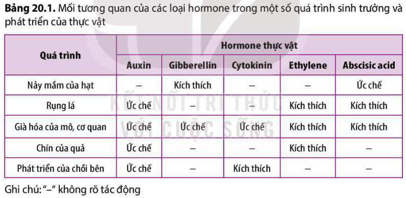 <p>Tương tác giữa hai/nhiều loại hormone trong một quá trình cụ thể.</p>