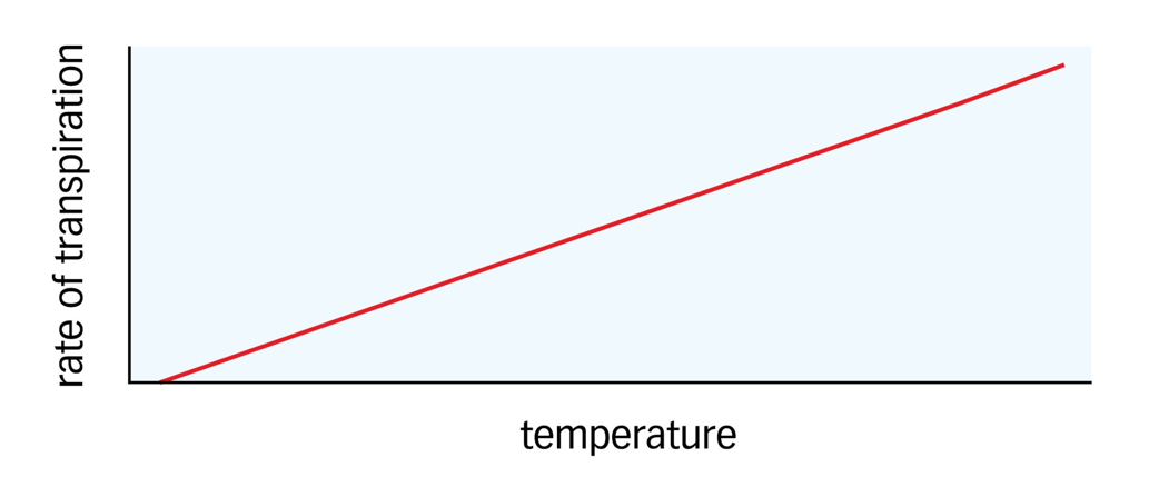 <p><span>Higher temperatures increase the rate of transpiration by increasing the rate of evaporation from the mesophyll cells</span></p>