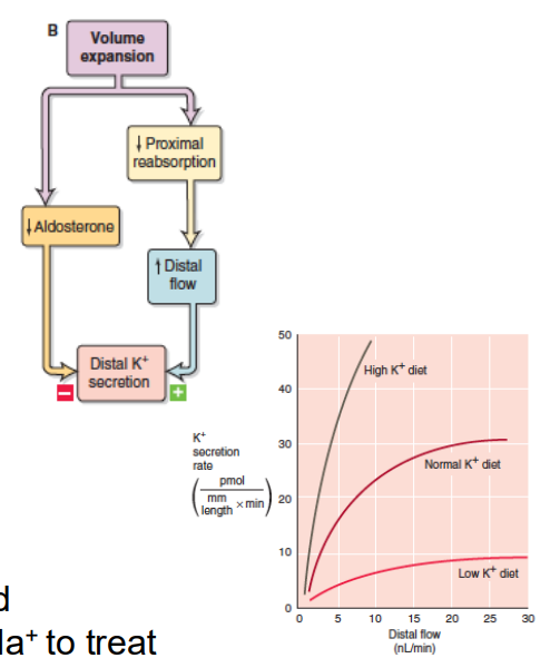 <p>- Raised Na+ -&gt; Decreased K+ reabsorption</p><p>- Need to consume adequate K+</p><p>- K+ has a direct effect on vascular tone</p><p>- Hypokalemia -&gt; exacerbation of the primary hypertension</p><p>- For this reason, the dietary guidelines recommend considering increasing K+ intake when reducing Na+ to treat sodium sensitive hypertension</p>