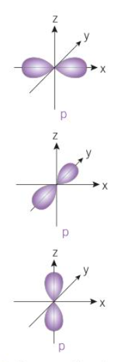 <p>-3 orbitals</p><p>-electron cloud within shape of dumbbell</p><p>-3 separate dumbbells at right angles to each other</p><p>-e move anywhere within shape</p>