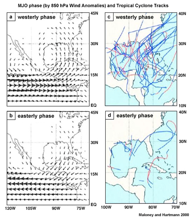 Active MJO