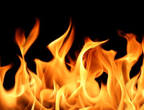 <p>inflammation</p>