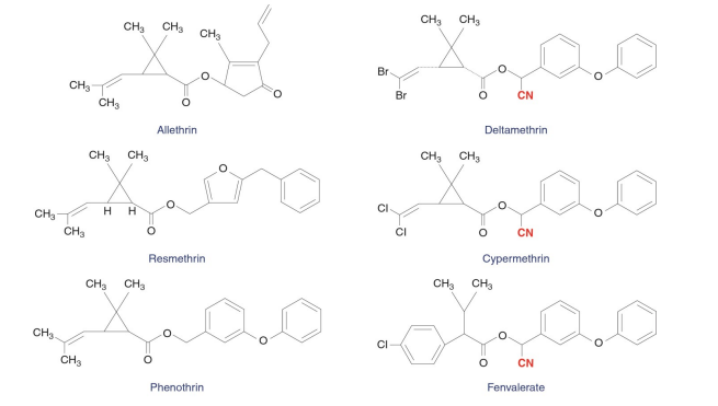 <p>Insecticides with high insecticidal potency, relatively low mammalian toxicity, lack of environmental persistance, and low tendency to induce insect resistance. Toxicity in mammals due to this compound is caused by disruption of the voltage-gated sodium channels.</p><p>They all contain an acid and alcohol moieties linked by an ester bond.</p>