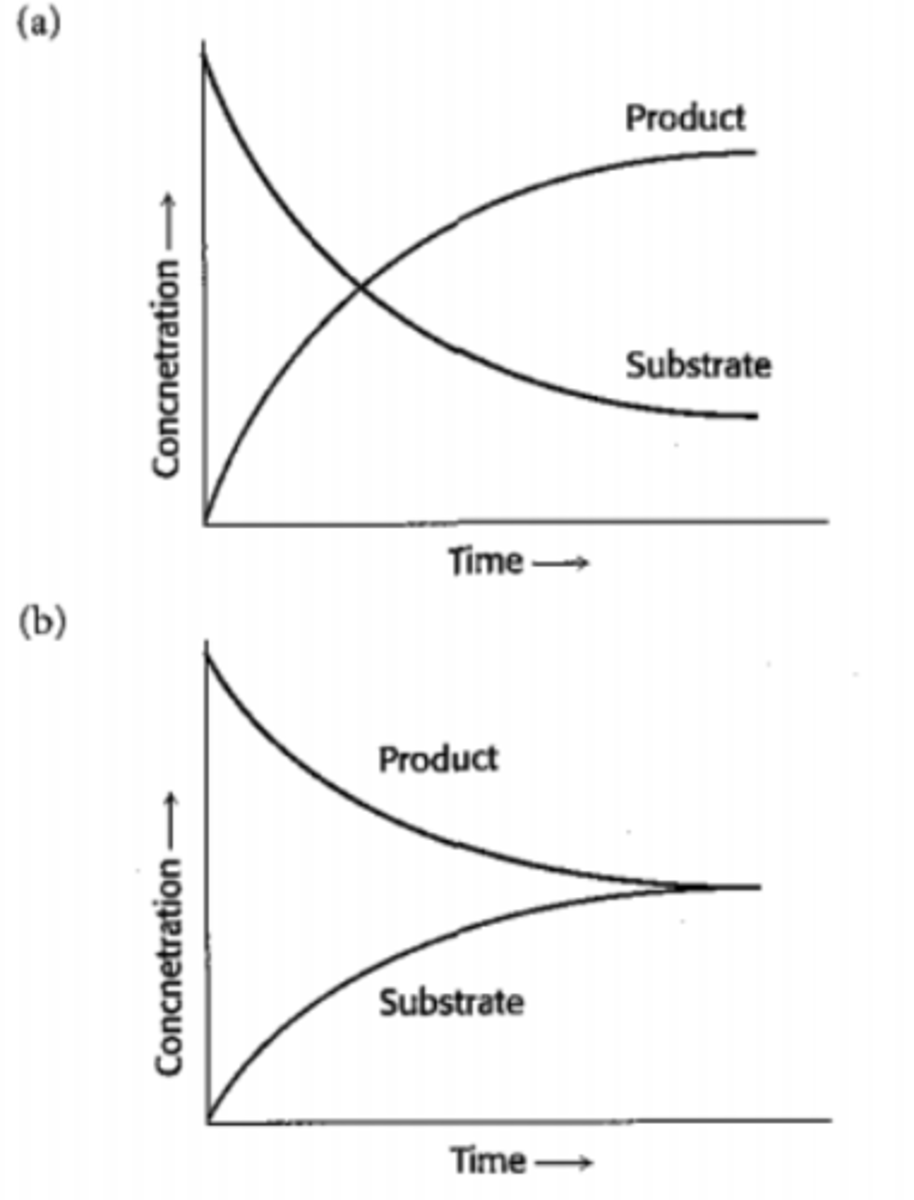 <p>Occurs when a reversible reaction in a closed system, has equal rates of forward and reverse reactions, and concentrations of species remains constant. can only happen in closed system.</p>