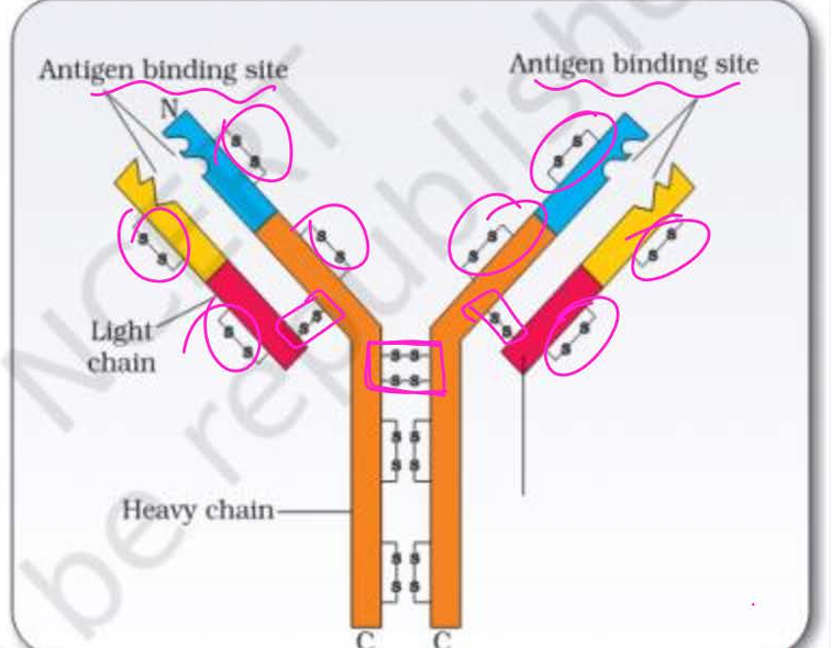 <p>2</p><p>1</p><p>16</p>