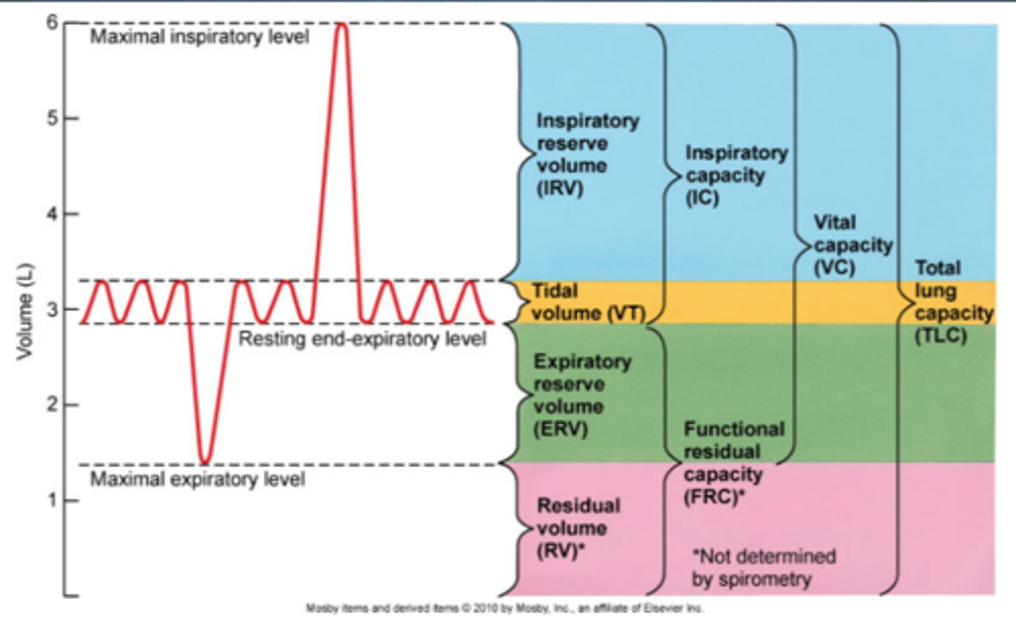 <p>Volume of air remaining in lungs at end of normal exhalation (FRC = ERV + RV)</p>
