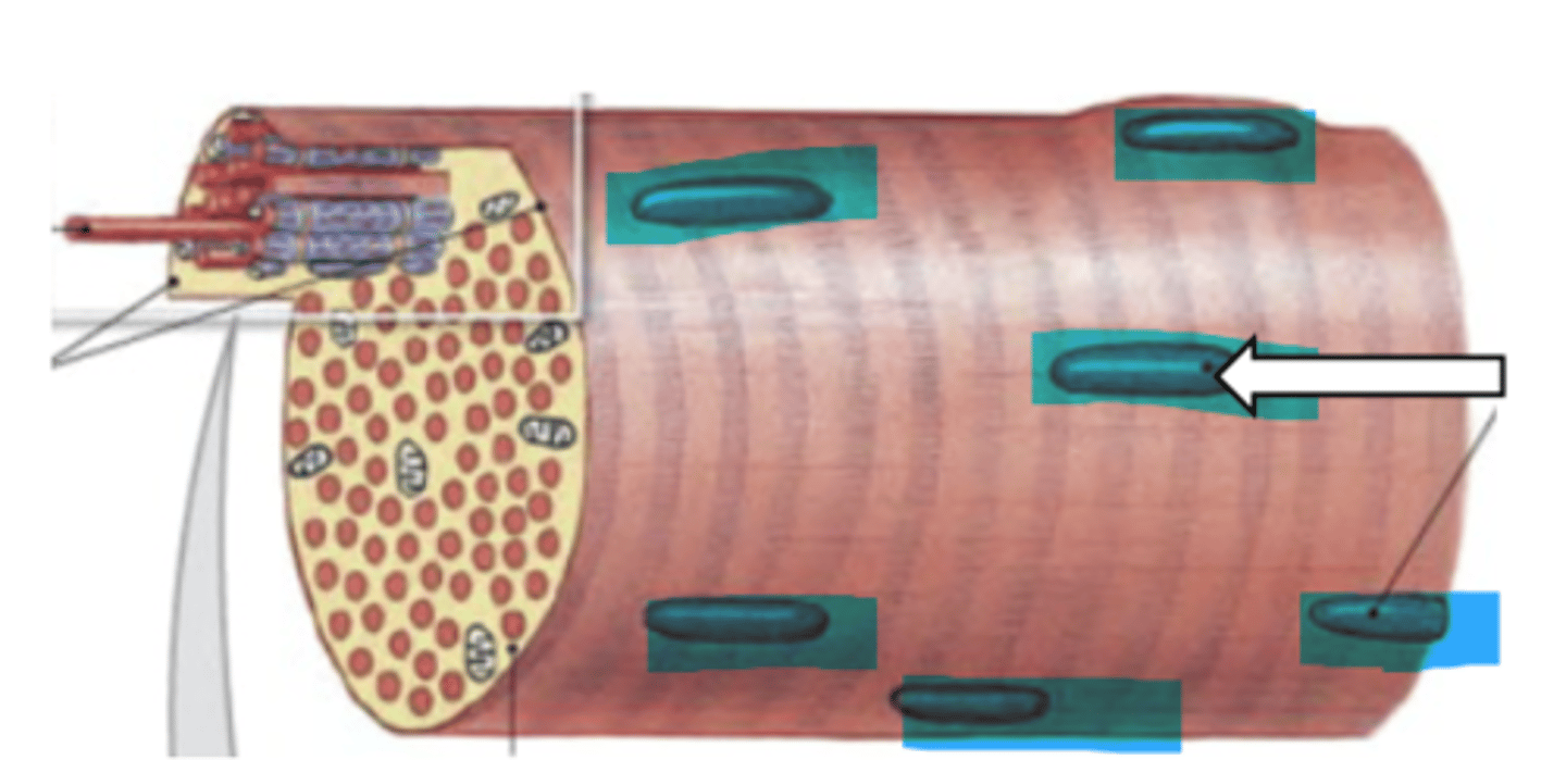 <p>name the structure</p>
