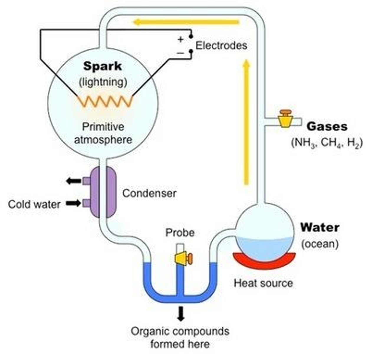 <p>Simulated early Earth conditions to produce amino acids.</p>