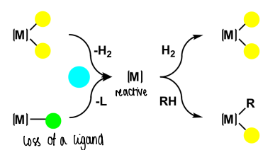 <p>When light is applied to a stable complex, electrons are moved into anti bonding orbitals. This leads to ligand loss via reductive elimination. The desired ligand can then be added.</p>