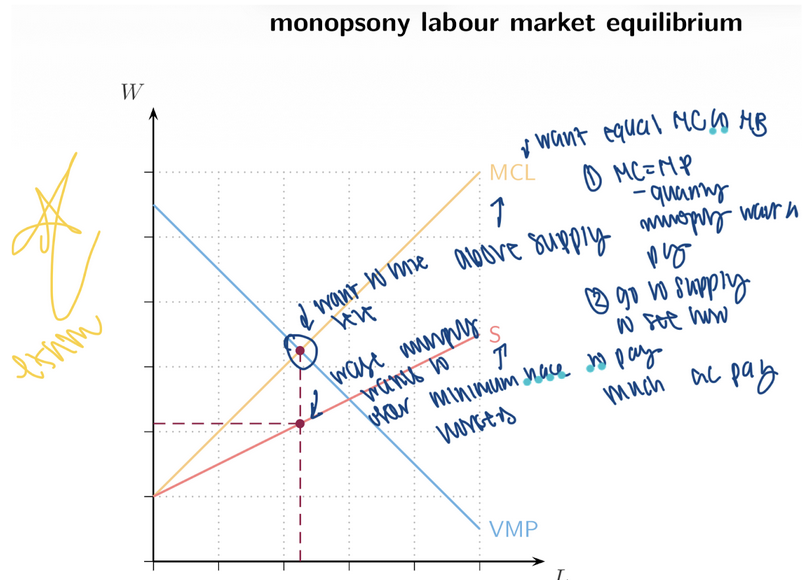 <p><span style="background-color: transparent; font-family: "Times New Roman", serif;"><strong><span>13. Monopsony vs Monopoly Comparison</span></strong></span></p><table style="min-width: 75px;"><colgroup><col style="min-width: 25px;"><col style="min-width: 25px;"><col style="min-width: 25px;"></colgroup><tbody><tr><td colspan="1" rowspan="1" style="vertical-align: top; padding: 5pt; overflow: hidden; overflow-wrap: break-word;"><p style="text-align: center;"><span style="font-family: "Times New Roman", serif;"><strong><span>Market Side</span></strong></span></p></td><td colspan="1" rowspan="1" style="vertical-align: top; padding: 5pt; overflow: hidden; overflow-wrap: break-word;"><p style="text-align: center;"><span style="font-family: "Times New Roman", serif;"><strong><span>Perfect Competition</span></strong></span></p></td><td colspan="1" rowspan="1" style="vertical-align: top; padding: 5pt; overflow: hidden; overflow-wrap: break-word;"><p style="text-align: center;"><span style="font-family: "Times New Roman", serif;"><strong><span>Market Power</span></strong></span></p></td></tr><tr><td colspan="1" rowspan="1" style="vertical-align: top; padding: 5pt; overflow: hidden; overflow-wrap: break-word;"><p><span style="font-family: "Times New Roman", serif;"><strong><span>Supply side</span></strong></span></p></td><td colspan="1" rowspan="1" style="vertical-align: top; padding: 5pt; overflow: hidden; overflow-wrap: break-word;"><p><span style="font-family: "Times New Roman", serif;"><span>MR = P</span></span></p></td><td colspan="1" rowspan="1" style="vertical-align: top; padding: 5pt; overflow: hidden; overflow-wrap: break-word;"><p>MR < P </p></td></tr><tr><td colspan="1" rowspan="1" style="vertical-align: top; padding: 5pt; overflow: hidden; overflow-wrap: break-word;"><p><span style="font-family: "Times New Roman", serif;"><strong><span>Demand side</span></strong></span></p></td><td colspan="1" rowspan="1" style="vertical-align: top; padding: 5pt; overflow: hidden; overflow-wrap: break-word;"><p><span style="font-family: "Times New Roman", serif;"><span>MCL = W</span></span></p></td><td colspan="1" rowspan="1" style="vertical-align: top; padding: 5pt; overflow: hidden; overflow-wrap: break-word;"><p><span style="font-family: "Times New Roman", serif;"><span>></span></span></p></td></tr></tbody></table><p></p>