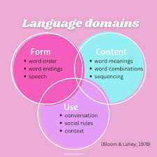 <p>communication disorder</p>