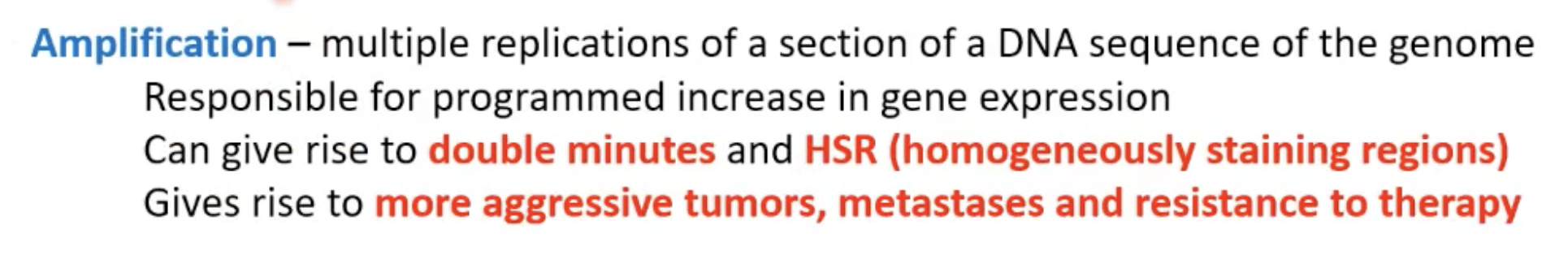 <ol><li><p>Point mutation</p></li><li><p>Translocation</p></li><li><p>Amplication (also over expression)</p></li></ol><p></p><p></p>