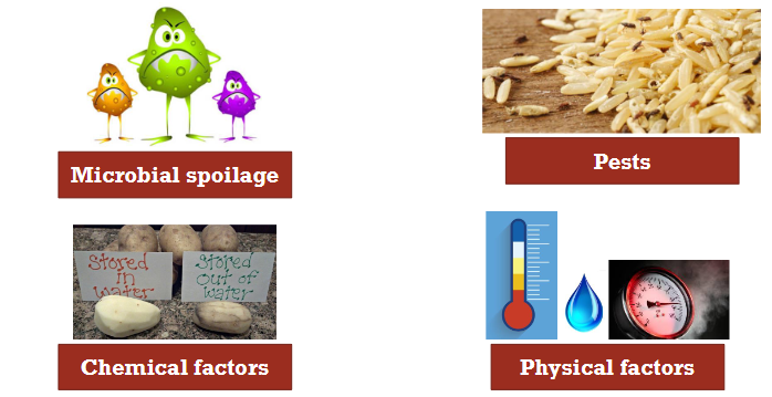 <ul><li><p><strong>To stop:</strong></p></li><li><p>Microbial spoilage</p></li><li><p>chemical factors</p></li><li><p>pests</p></li><li><p>physical factors</p></li></ul><p></p>