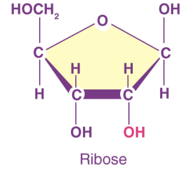 <p>what sugar is this </p>