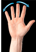 <p>Name this movement</p>