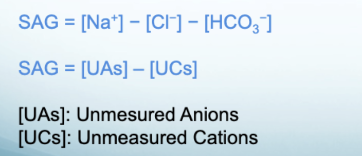 <p>Which SAG equation can infer elevated anion gap metabolic acidosis?</p>