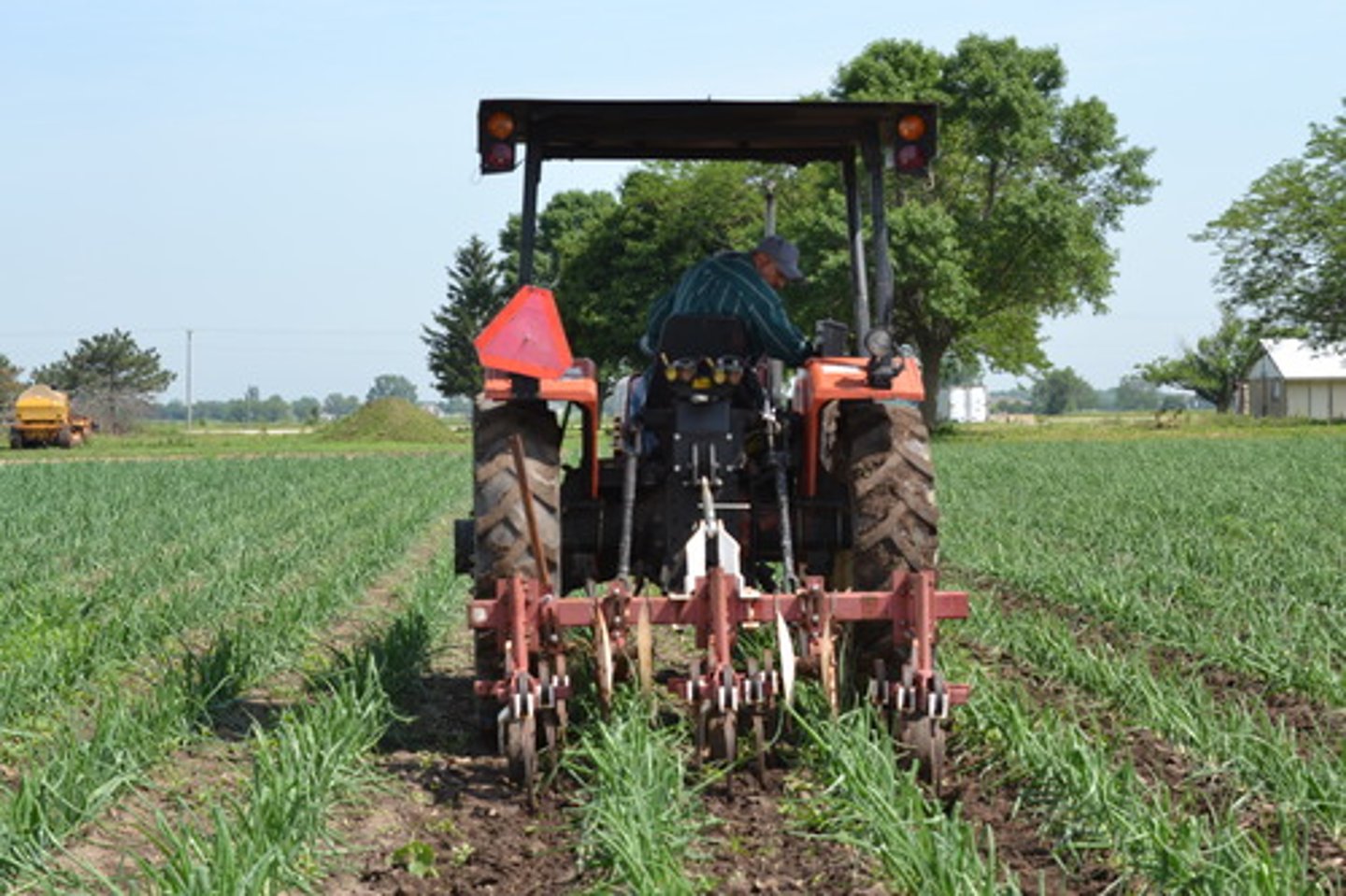 <p>Sự trồng trọt, canh tác</p>