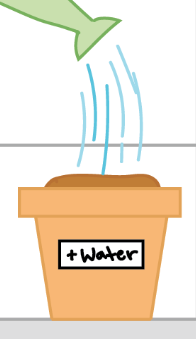 <p>in an experiment, the group that is exposed to the treatment, that is, to one version of the independent variable</p><ul><li><p>does receive the independent variable</p></li></ul><p></p>