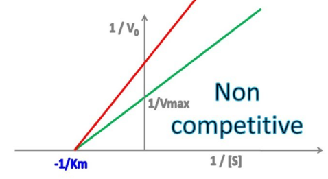 <p><u>Enzyme Kinetics - Noncompetitive Inhibition</u></p><p>Does noncompetitive inhibition affect <em>K<sub>m</sub></em>?</p><p>If so, does it INCREASE or DECREASE it?</p><p>Does this mean an INCREASE or DECREASE in binding affinity for the substrate?</p>
