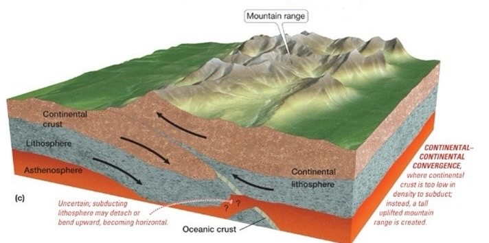 <ul><li><p>continental crust collides</p></li><li><p>neither plate fully subjects, mountains form</p></li></ul><p></p>