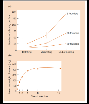 <p>Explain this graph</p>
