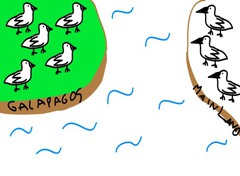 geographic separation prevents mating