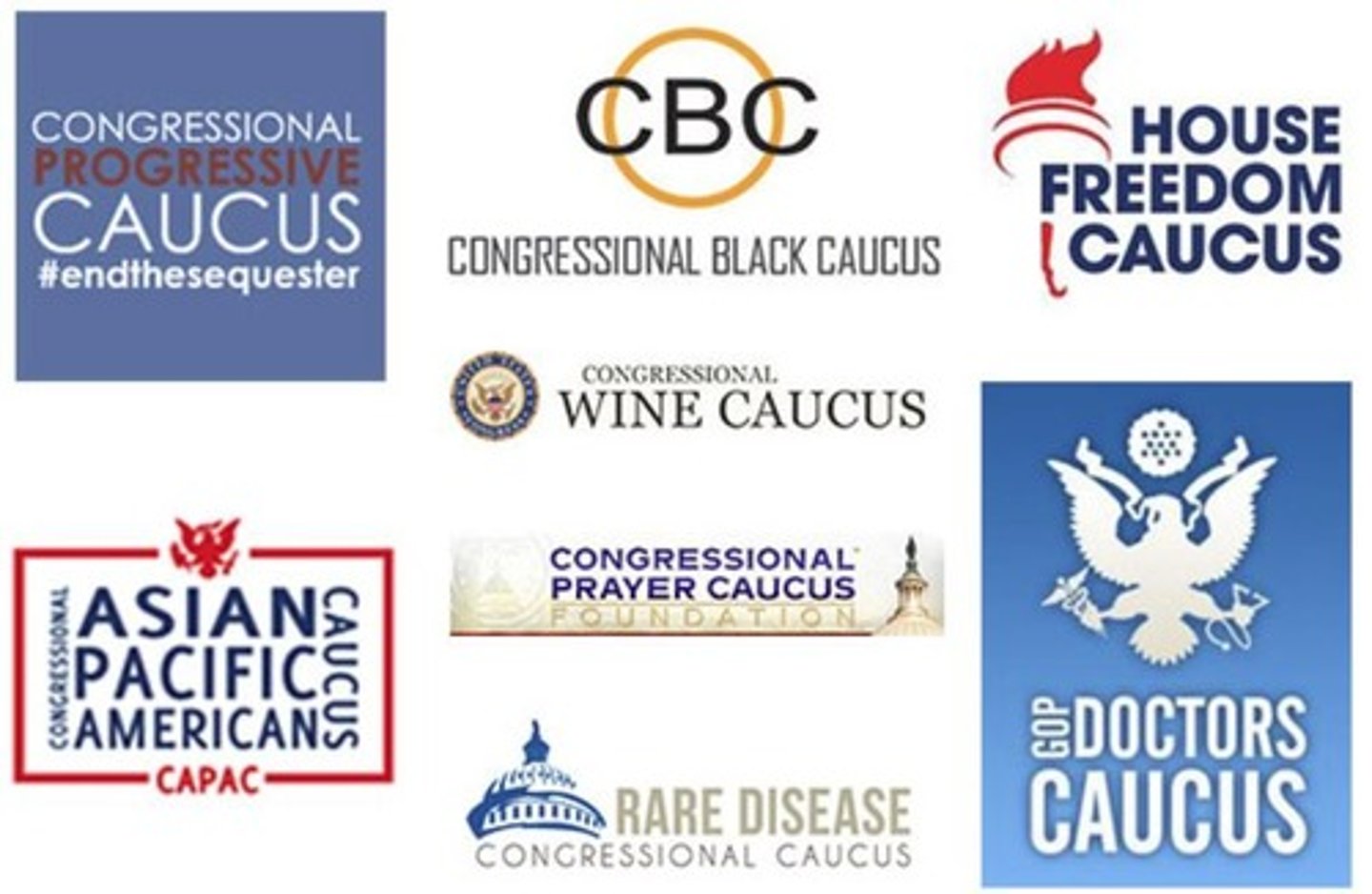 <p>These are groups of US legislators who share special interests and meet to pursue common legislative objectives, e.g. black caucus, women's caucus and Hispanic caucus.</p>