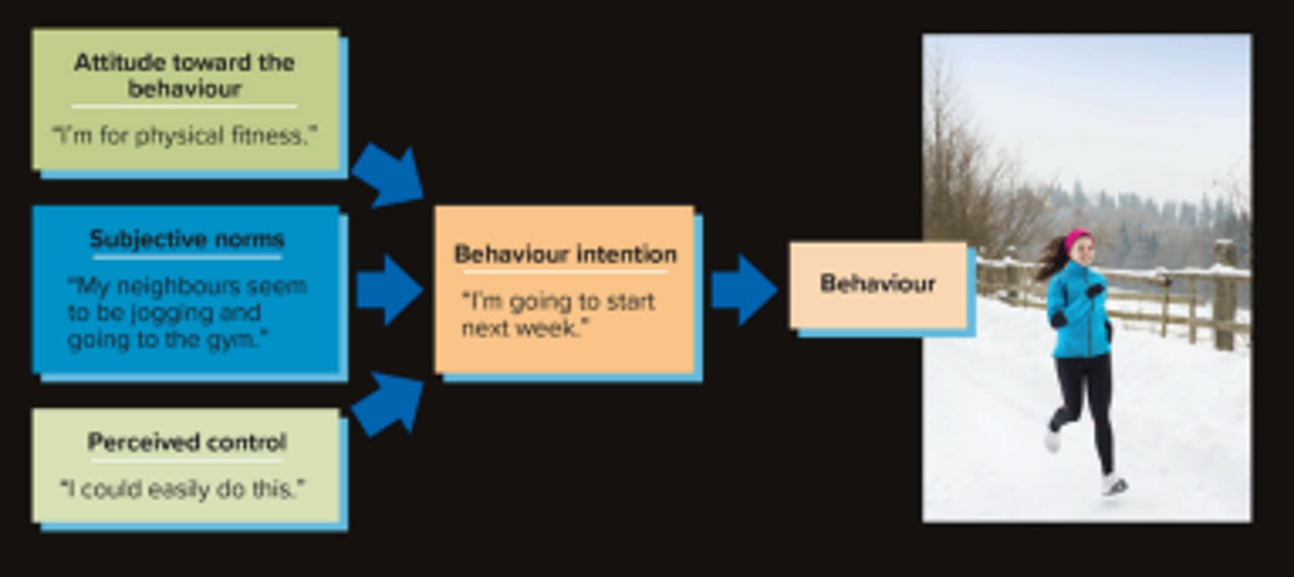 <p>Attitudes, perceived social norms, perceived behaviour control</p><p>These three things shape intention.</p>