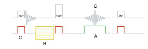 <p><span><span>What is “B”?</span></span></p>