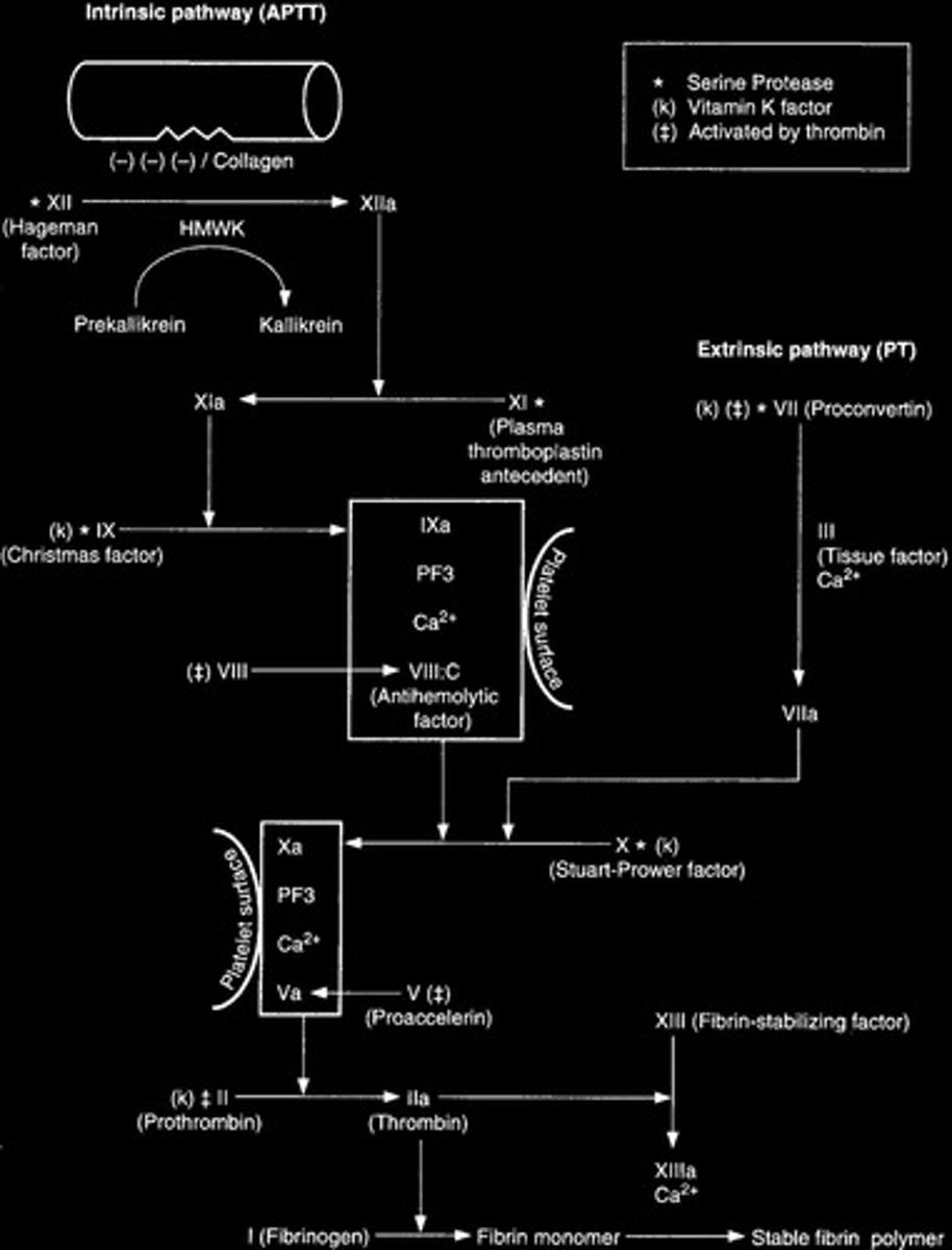 <p>Field focused on laboratory testing for health care.</p>