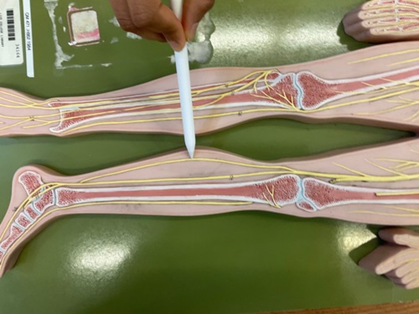 knowt flashcard image