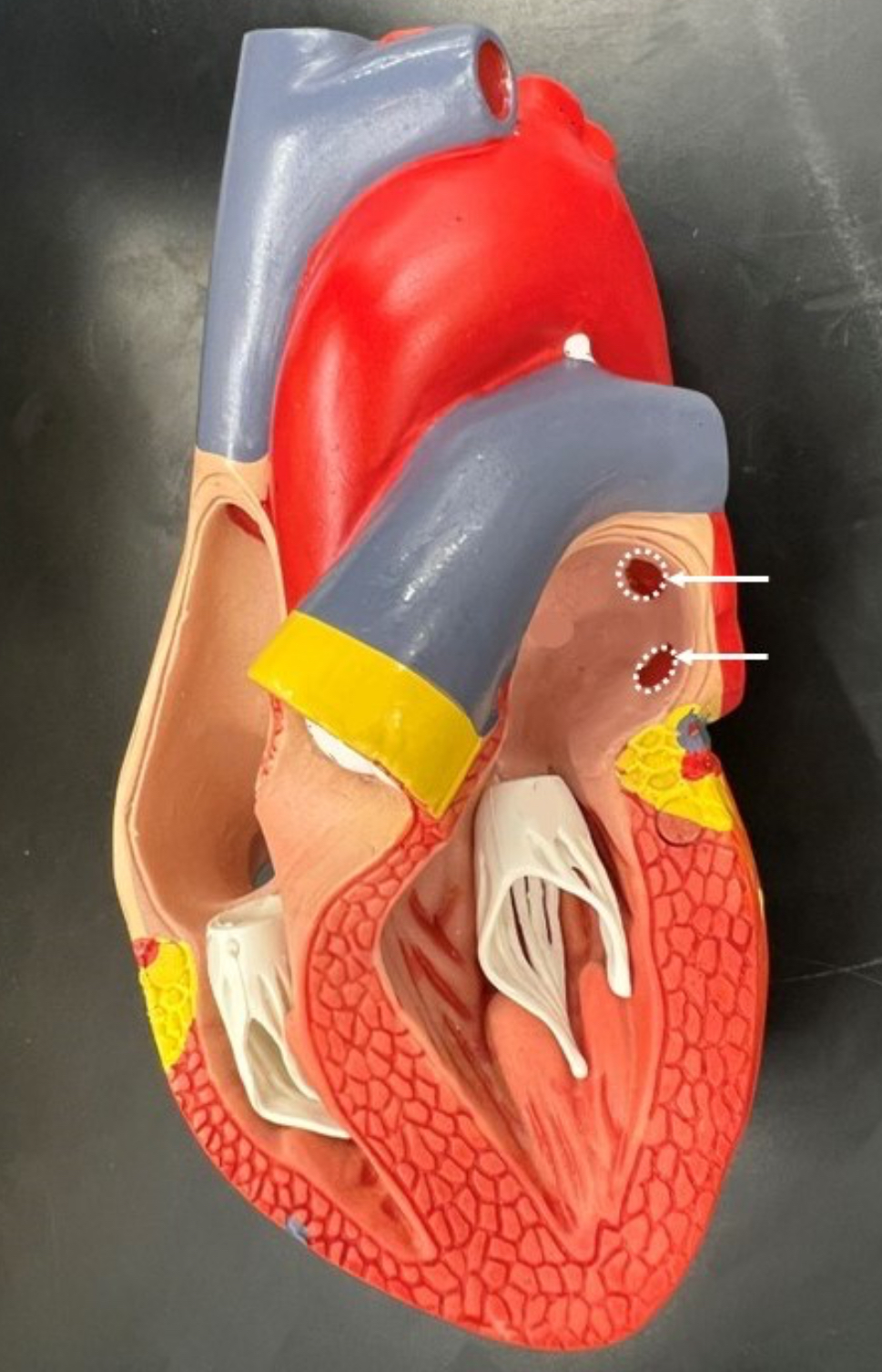 term image